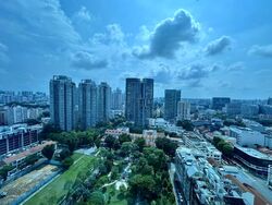 City Square Residences (D8), Condominium #560340731